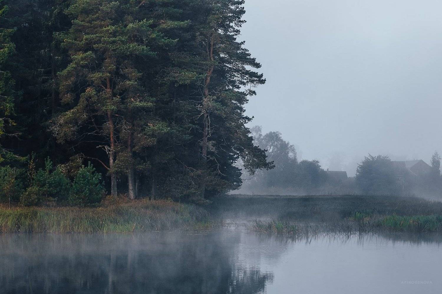 утро туман остров, Татьяна Афиногенова