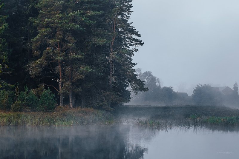 утро туман остров ### фото превью