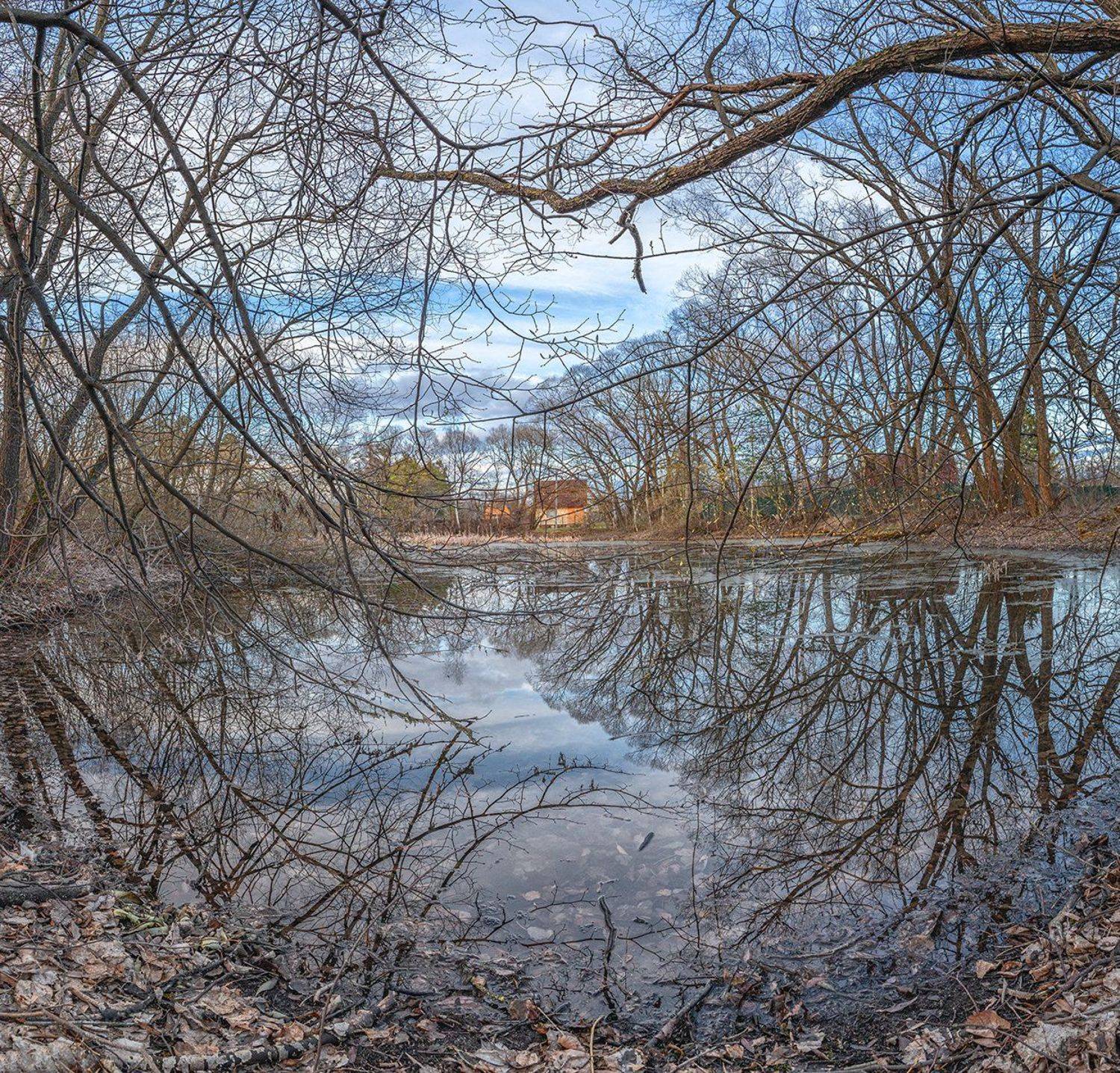 , Николай Андреев