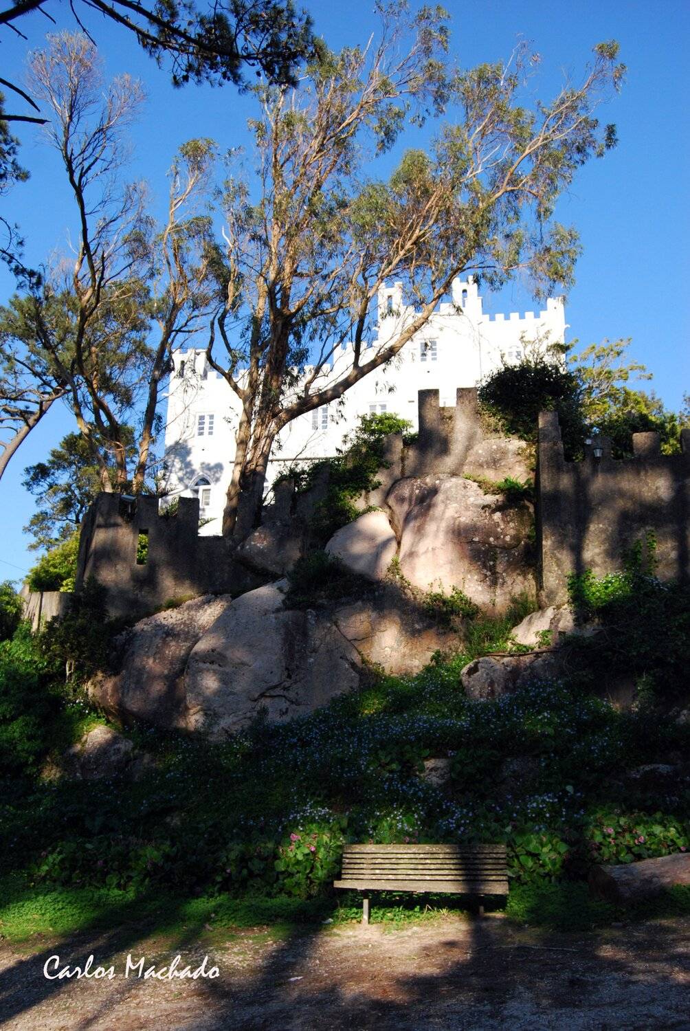 City/Architecture, Landscapes, Street/Reportage, Carlos Machado