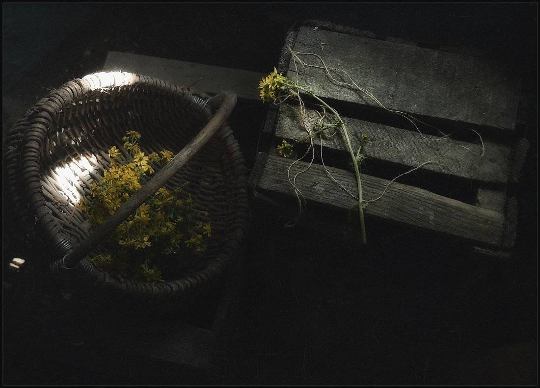 , Александр Хромеев