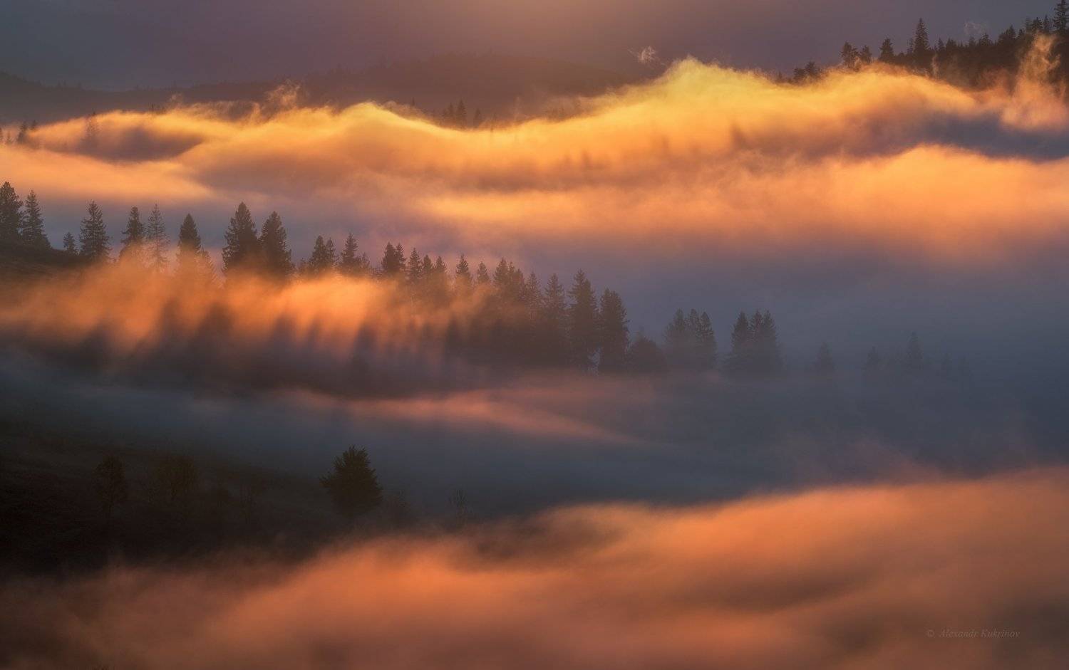 карпаты,осень,пейзаж,туман,утро,рассвет, Александр Кукринов