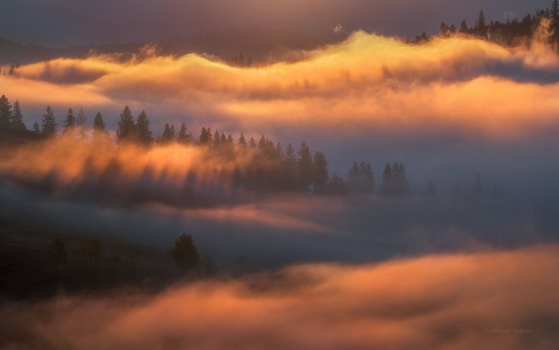 карпаты,осень,пейзаж,туман,утро,рассвет Огненные волны рассвета... фото превью
