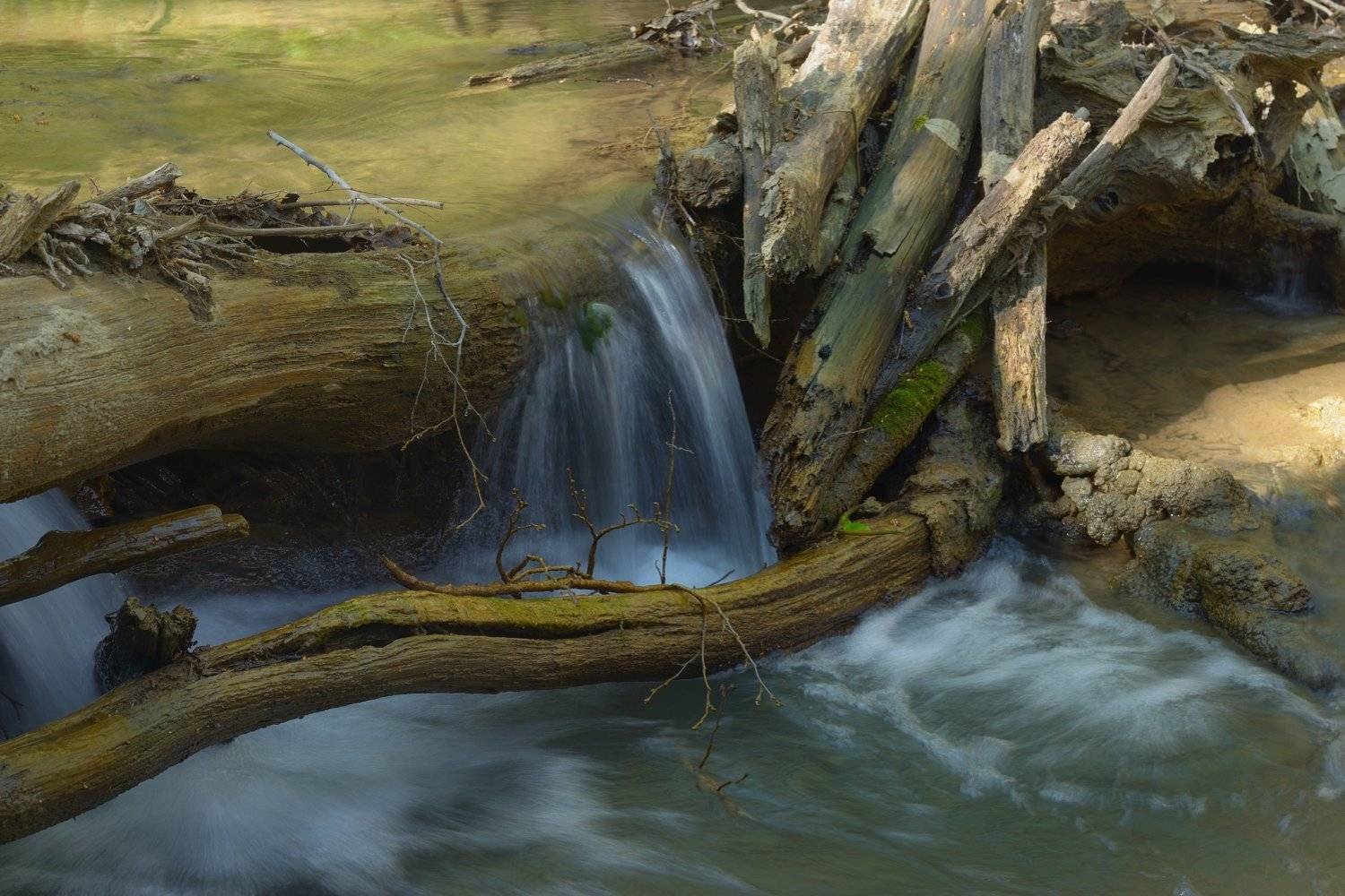 ручей весна, Александр Жарников