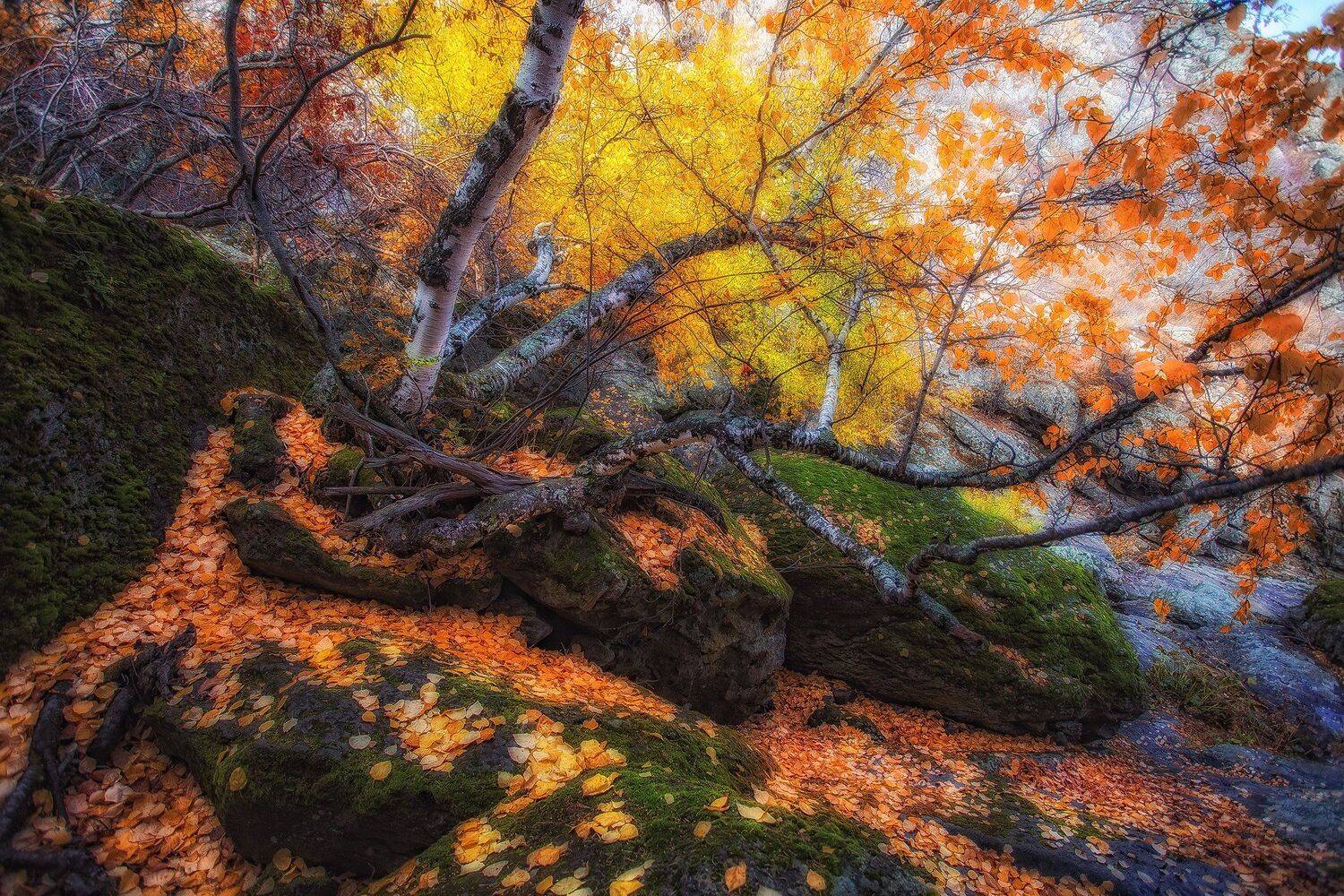 , Павел Сагайдак