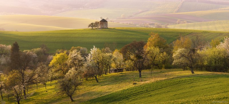Весенняя Моравия фото превью