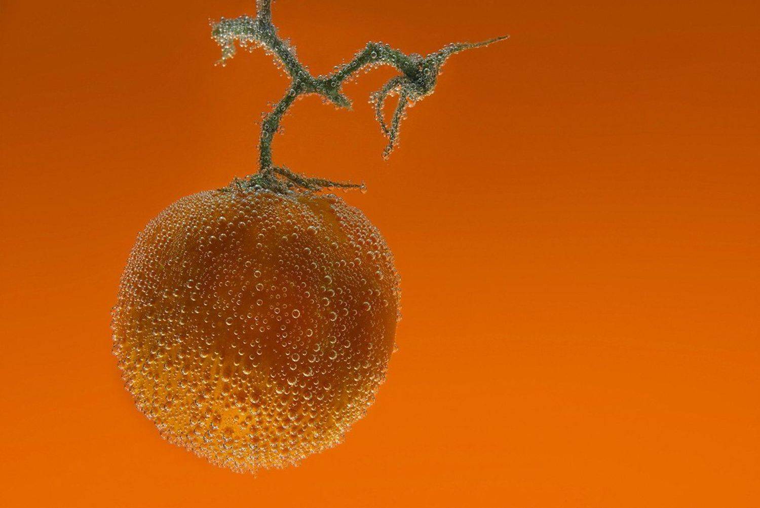 , Виктория Солодар