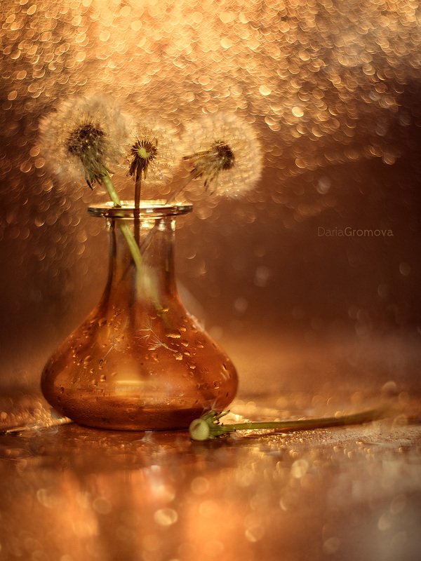 Одуваны фото превью