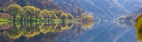 Journey to the spring