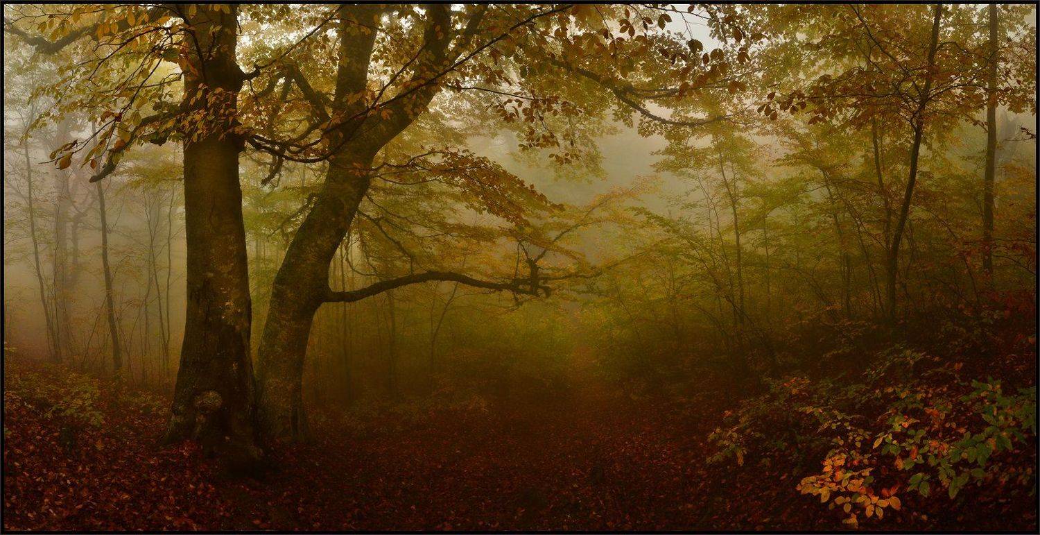 , Владимир Метцгер