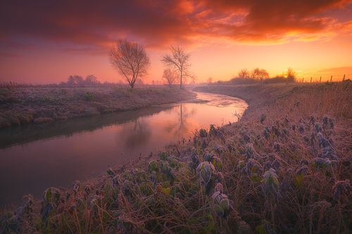 winter morning 