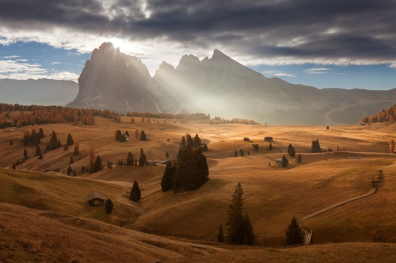 italy, dolomites, seiser alm, alpe di siusi, италия, альпы, рассвет, south tyrol Italy. South Tyrol. Alpe di Siusi фото превью