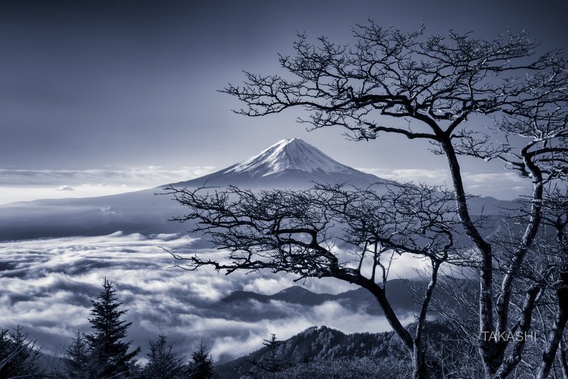 Fuji,Japan,mountain,clouds,tree,bonsai,snow,blue The spirit of the tree фото превью