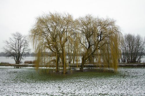 Late winter
