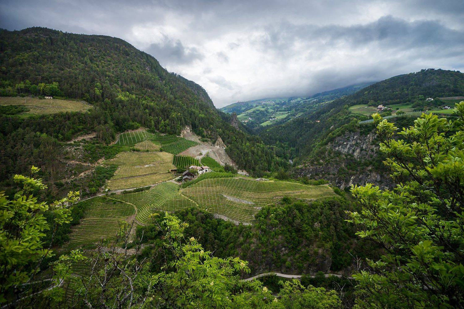 , Владислав