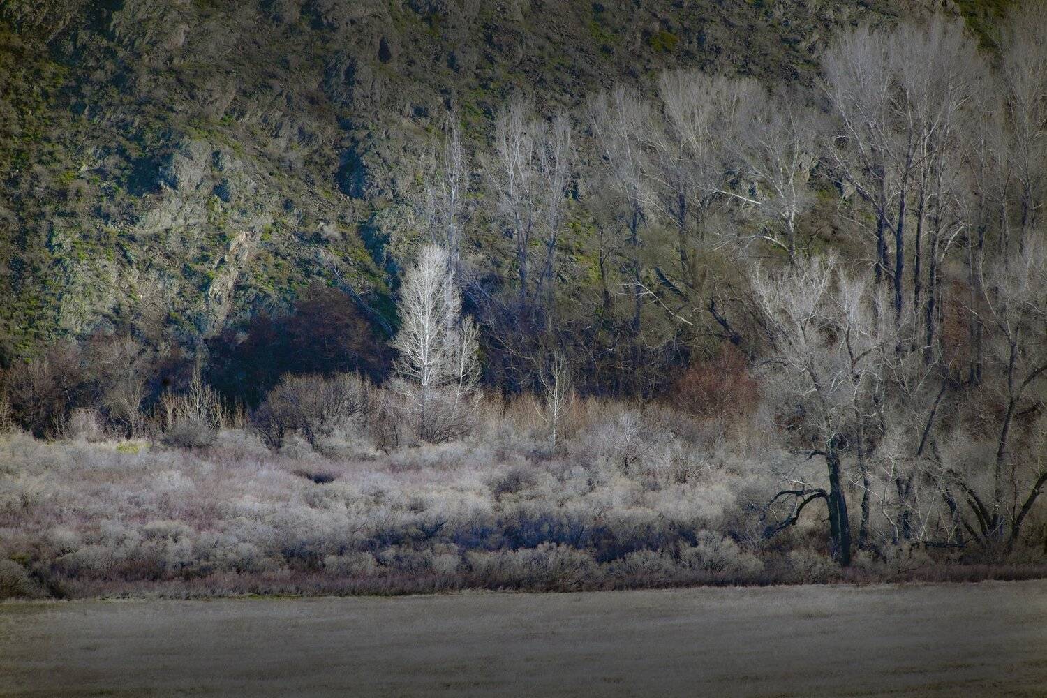 , петр чиков