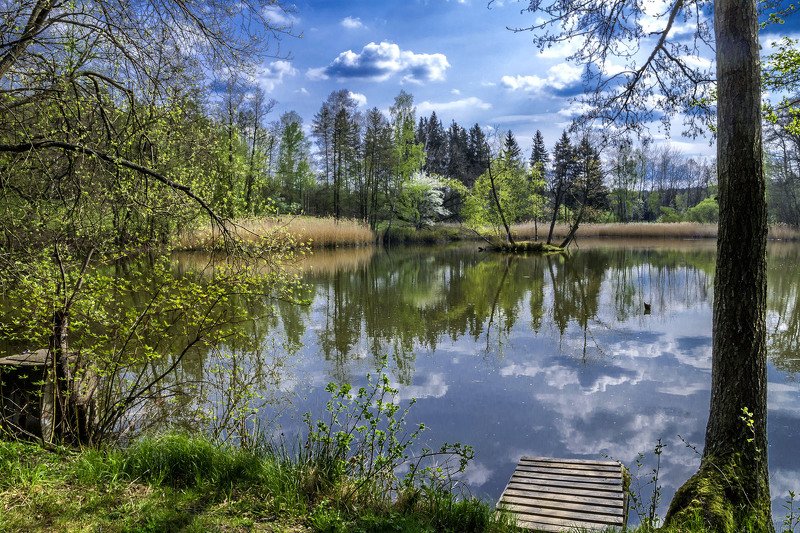 Весна у озера. фото превью