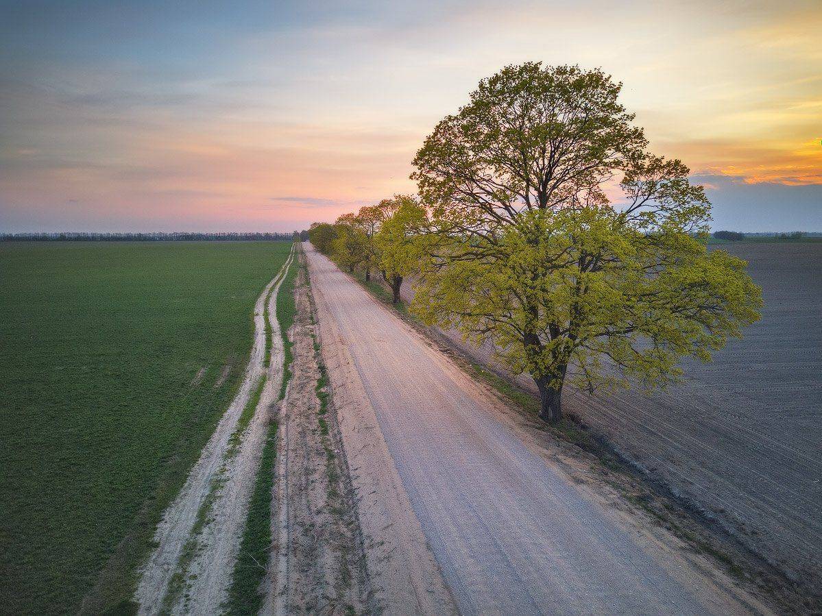 2020, апрель, беларусь, весна, вечер, дорога, закат, минск и окрестности, Вейзе Максим