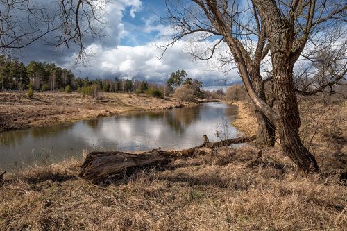 весенний день 2