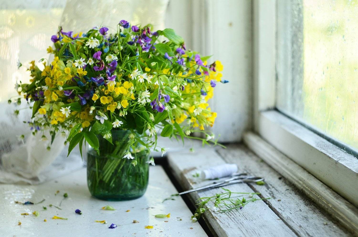 spring; spring flower; lifestyle, Мария Захарова