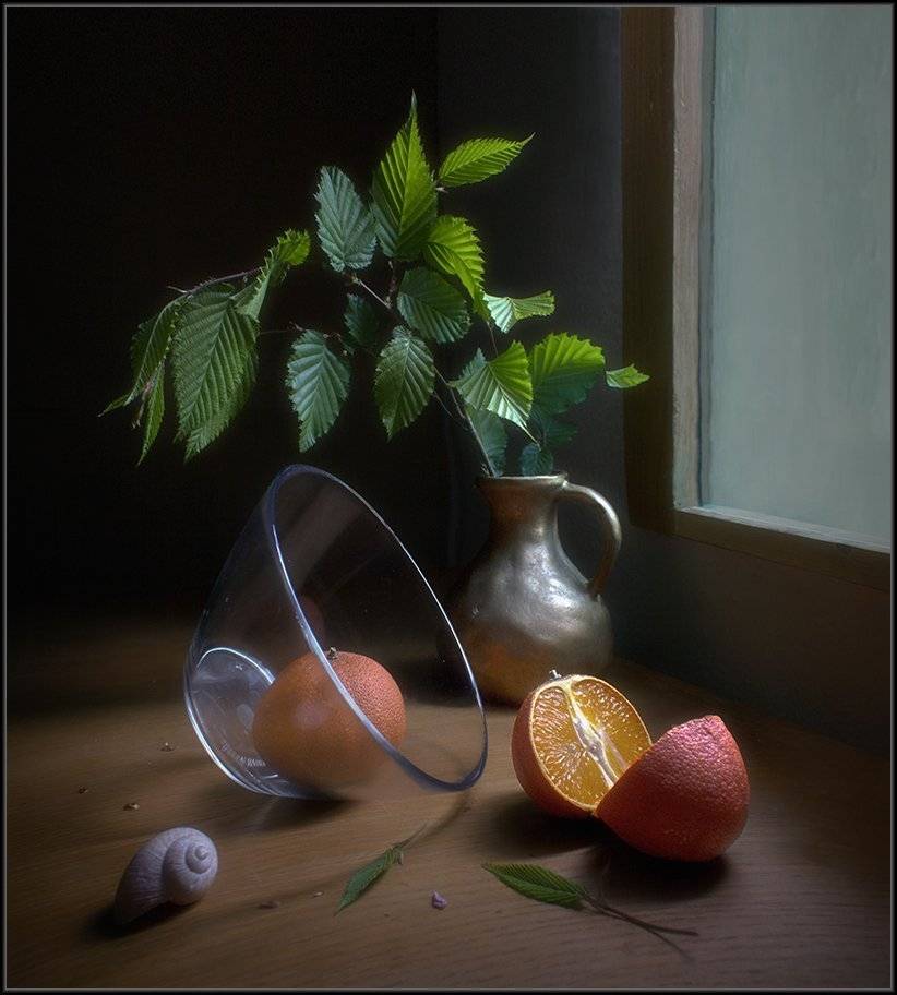 , Stein Georg
