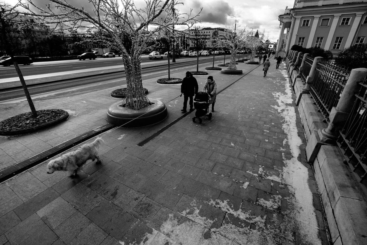 Москва, садовое кольцо, Сухаревская, ограда, забор, Склиф, собака, прогулка, зима, снег, малолюдно, Сухаревская башня, Дмитрий Ткаченко