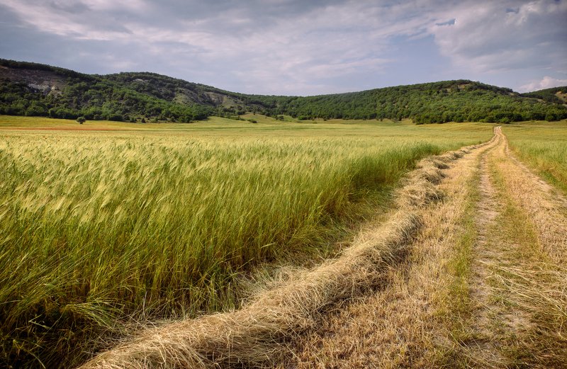 Серия Крым фото превью