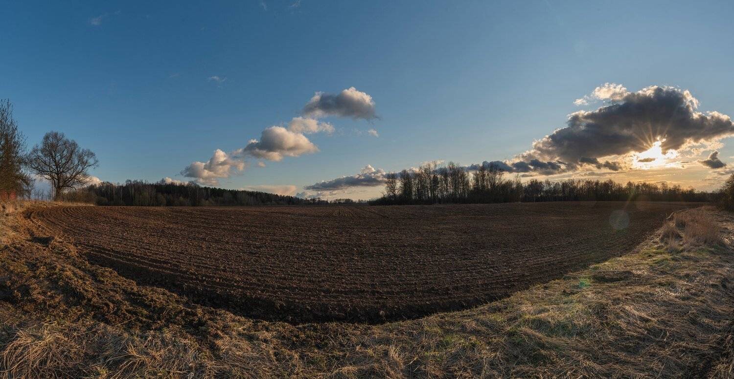 , Константин Дэм