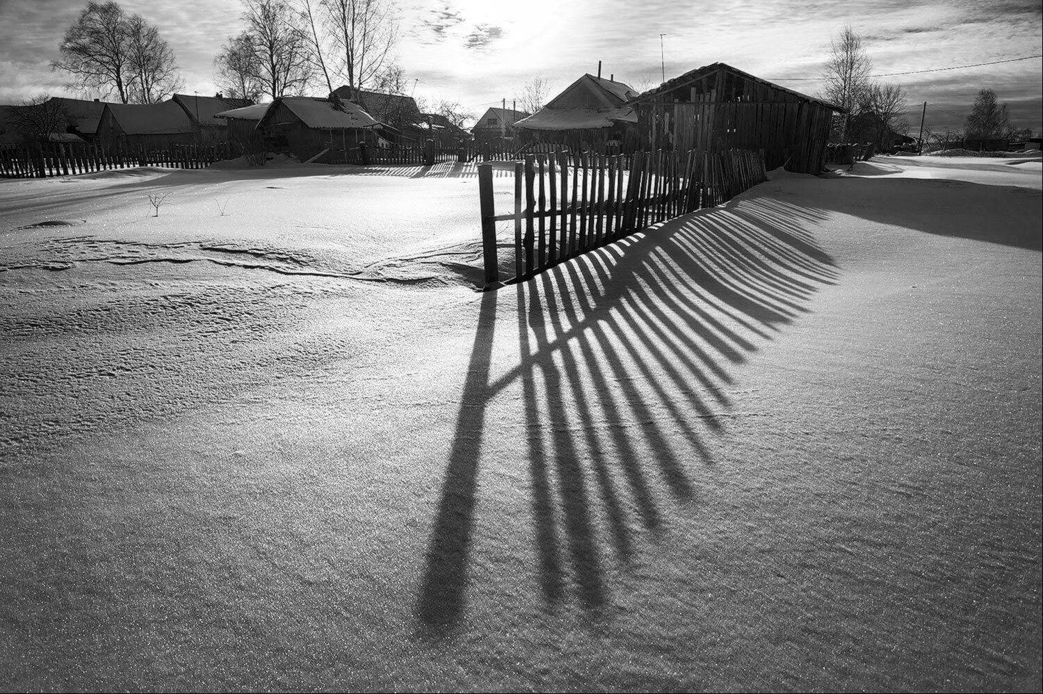 , Дарья Васильева