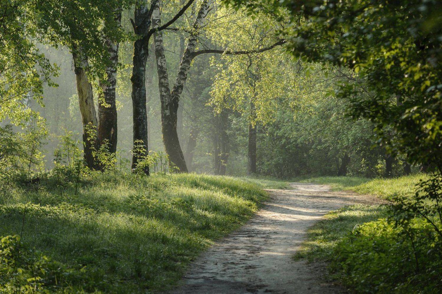 пейзаж,природа,утро,рассвет,весна,красота, Юлия Лаптева