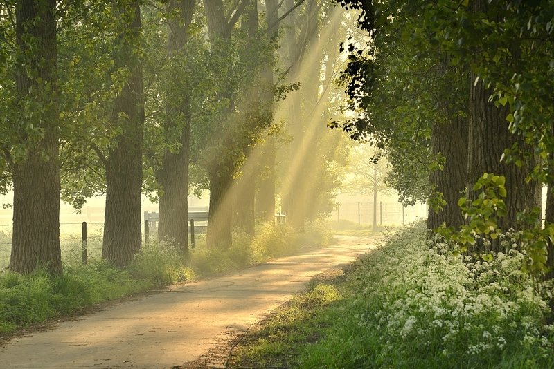 A romantic street. фото превью