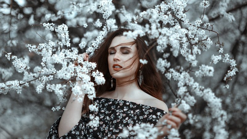 POLINA фото превью