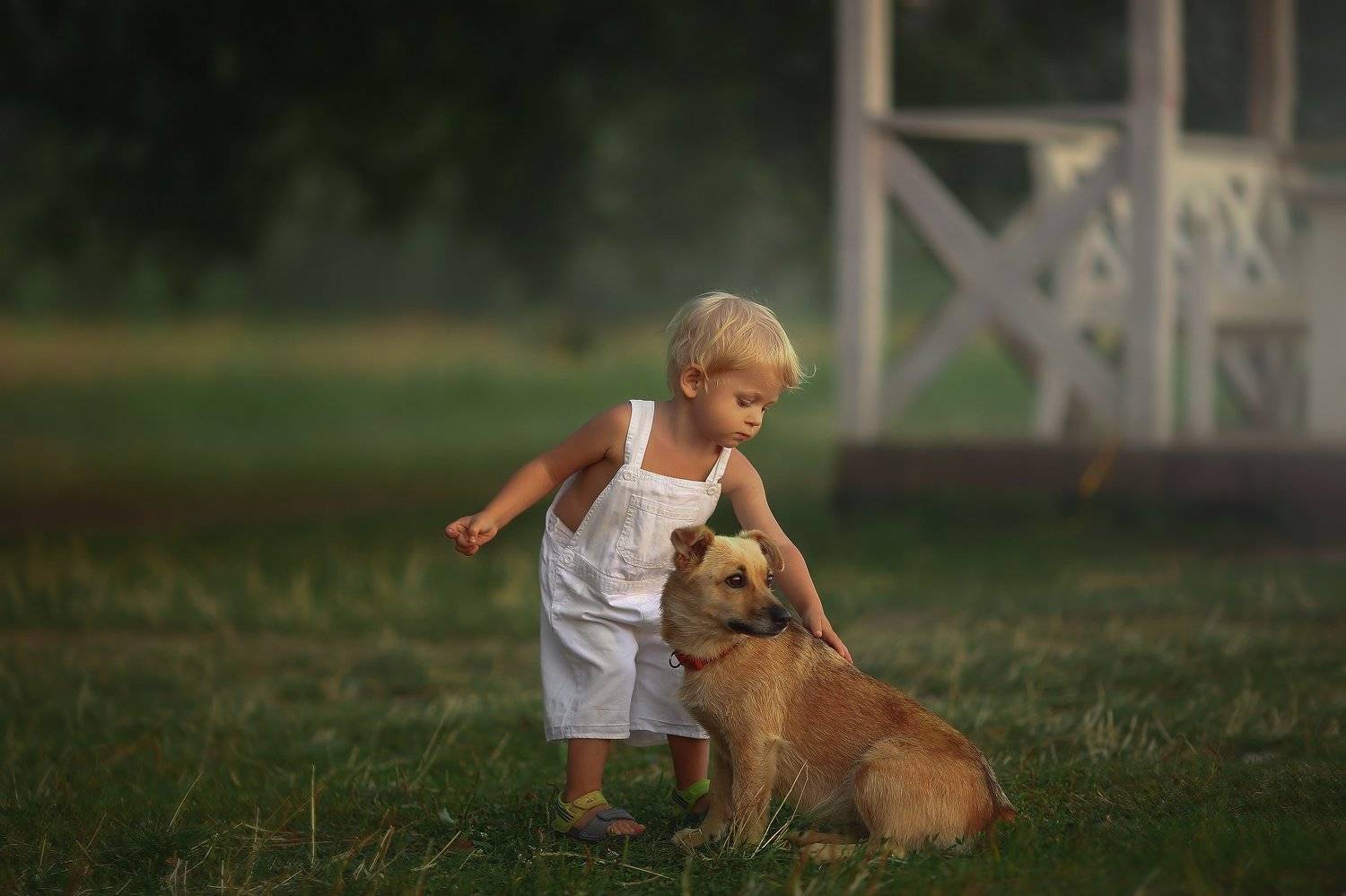 , Ника Колесникова