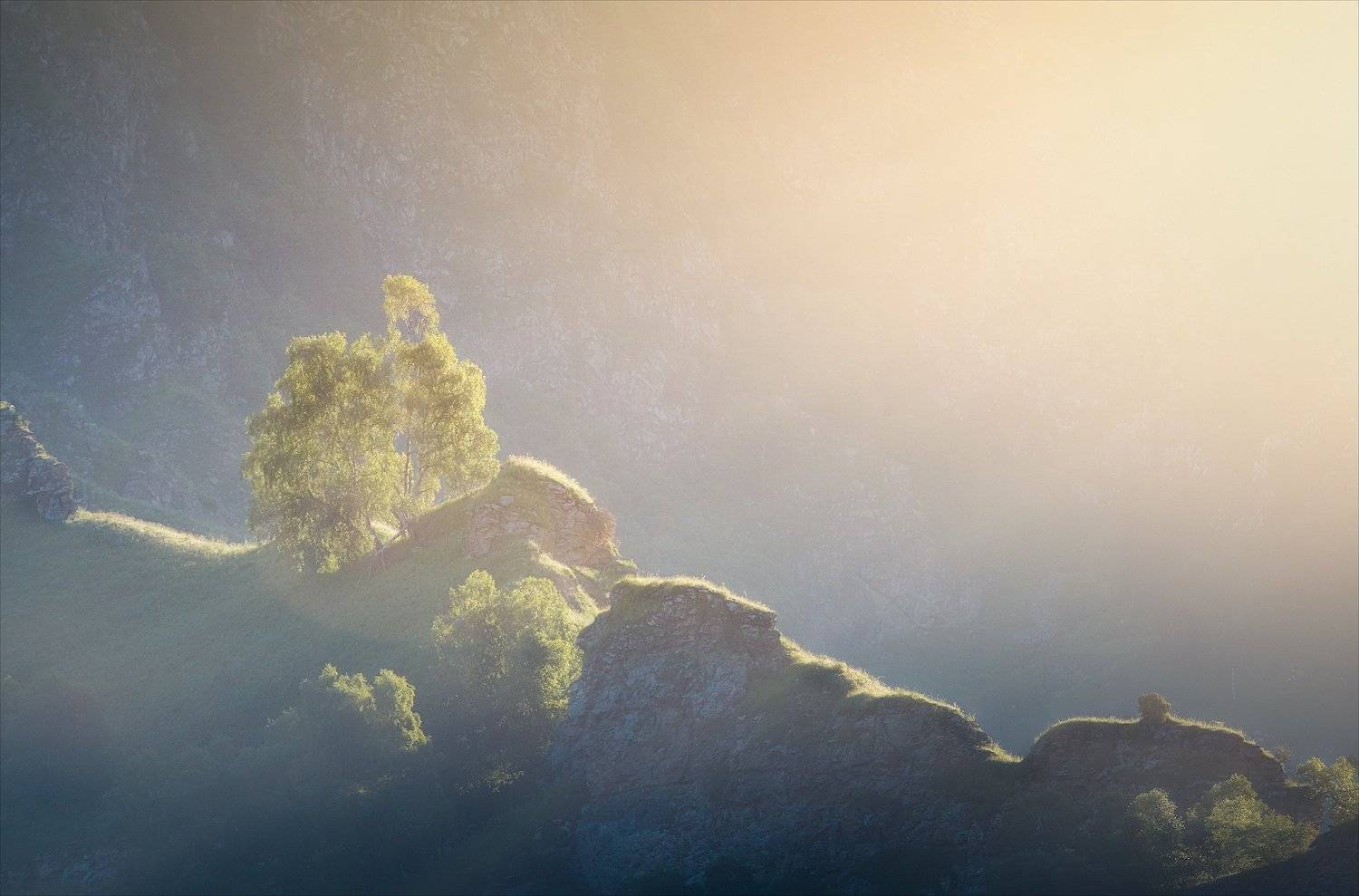 , Алексей Богорянов