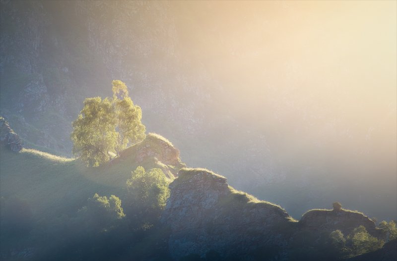 Солнечный душ. фото превью