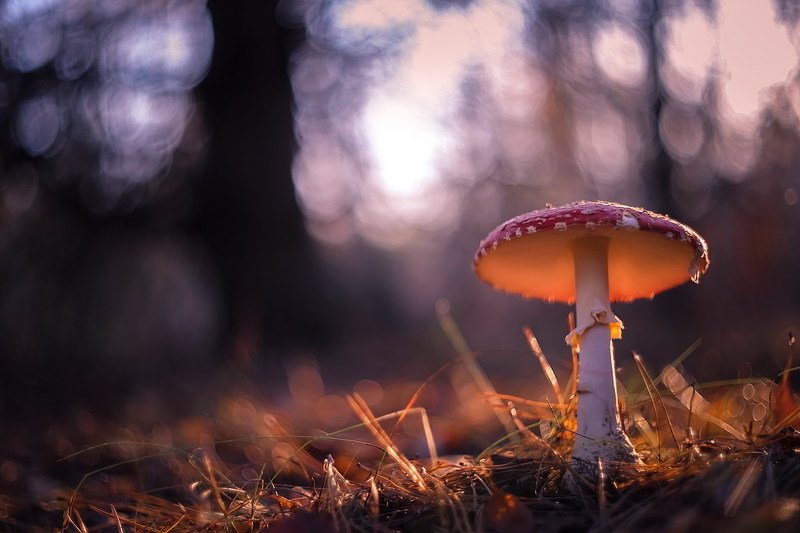 Торшерчик фото превью