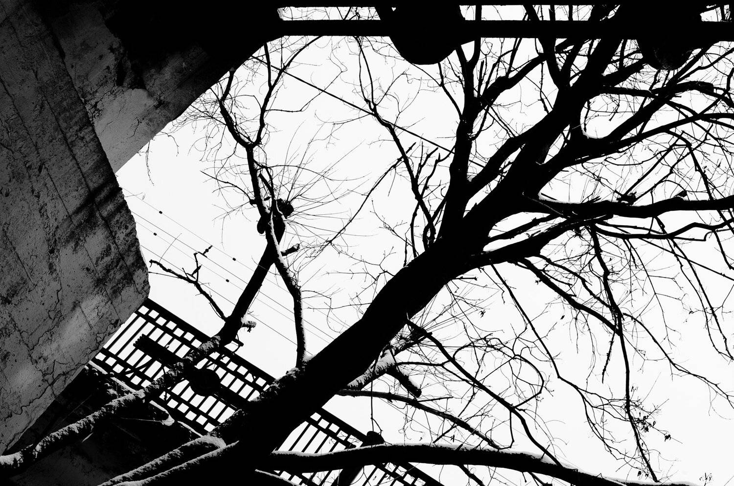 , Алексей Егоров