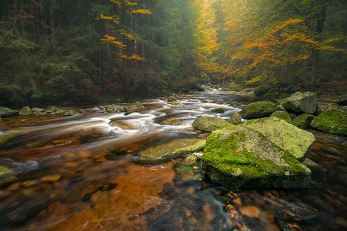 Let Your River Flow...