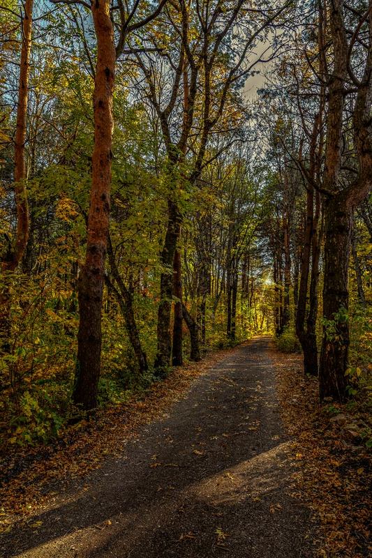 вечерний променад фото превью