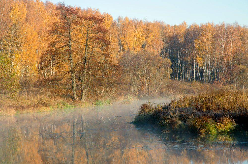 Калужская обл., р. Истья, Юсупов Александр