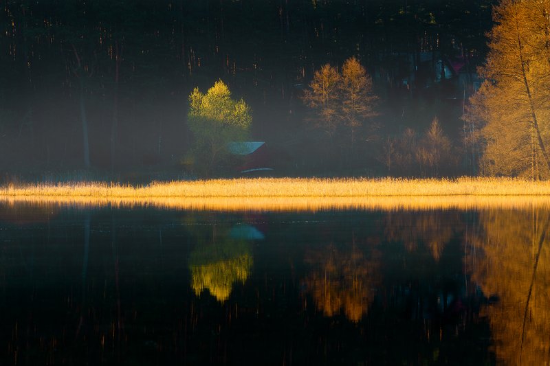 Poranne mgiełki фото превью