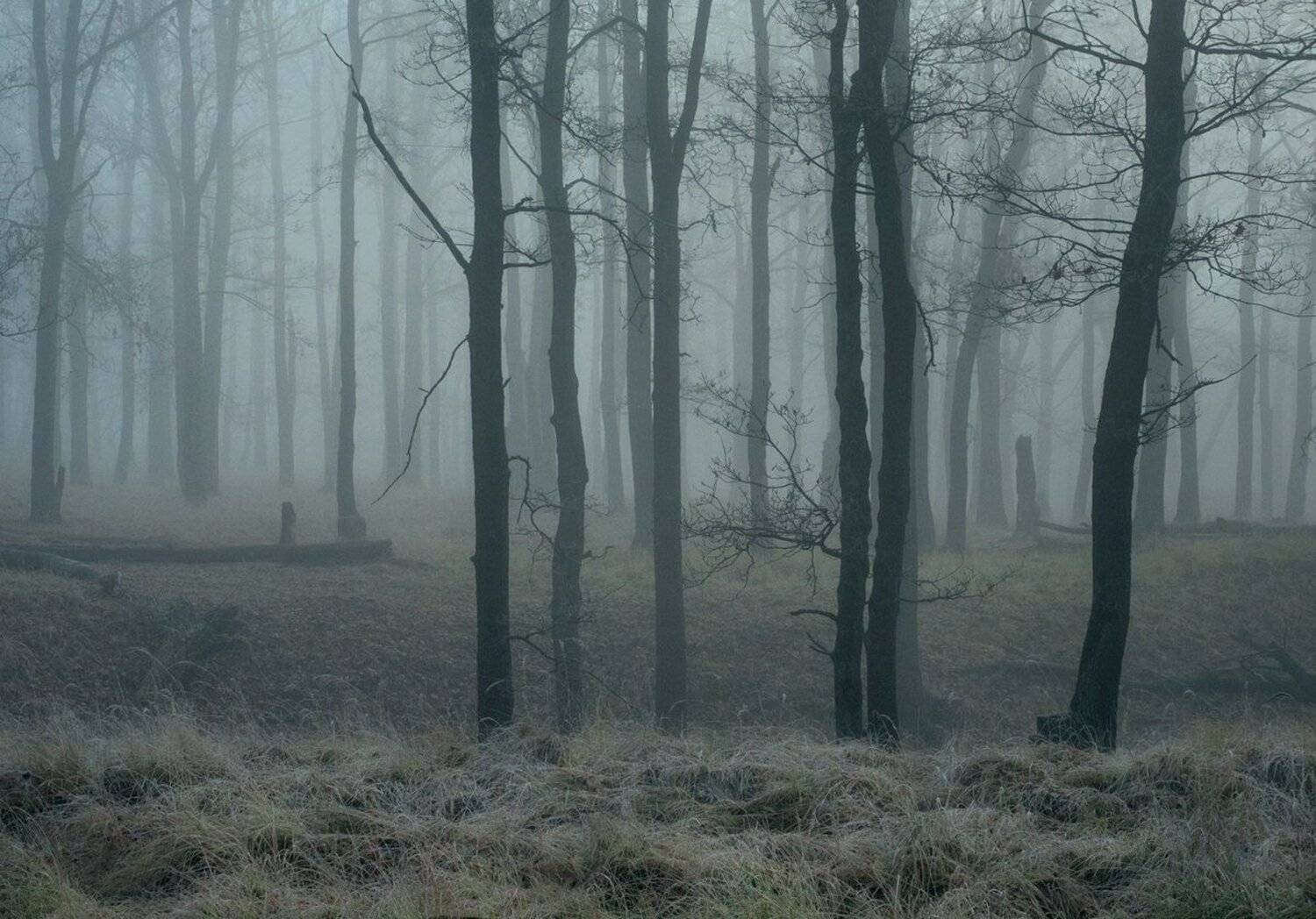 , Баранов Олег