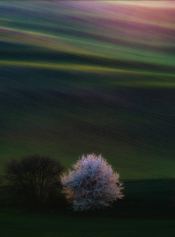+ фото превью