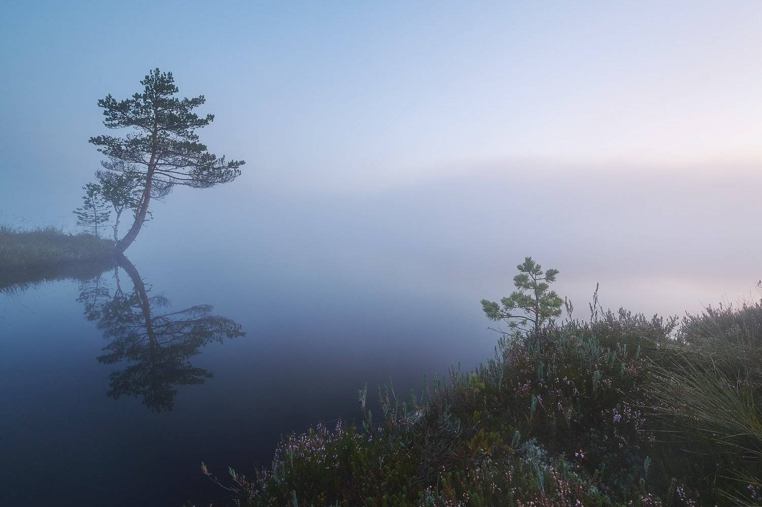 , Антон Кононов