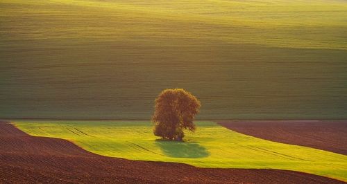 Morning greeting to the sun