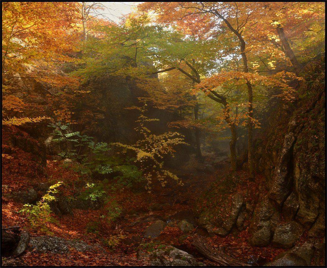 , Владимир Метцгер