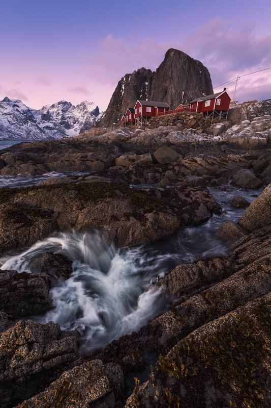 Red Rorbuer фото превью