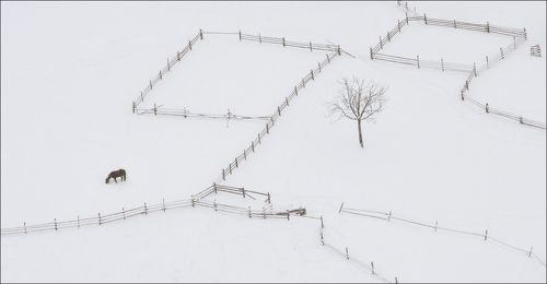 winter minimalizt