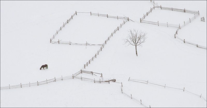 минимализм winter minimalizt фото превью