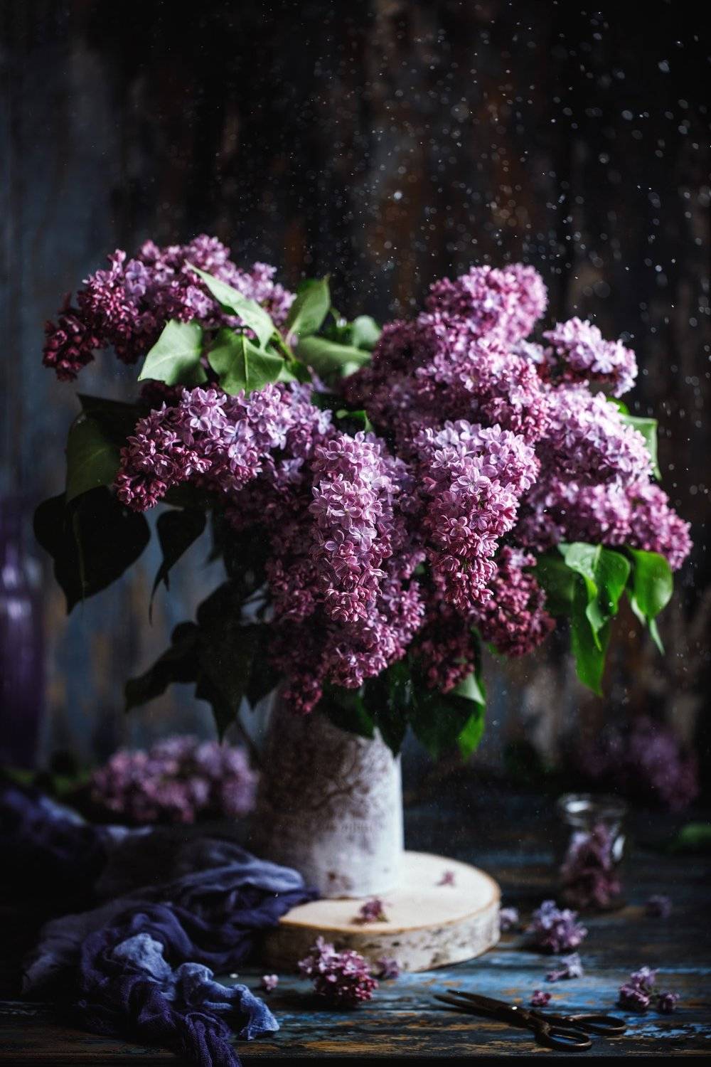 , Kristina Shavratskaya